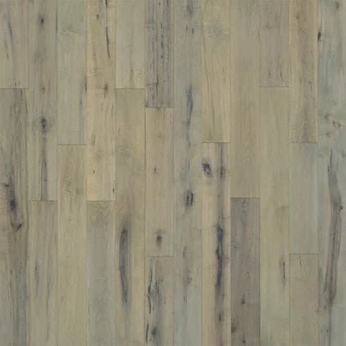 Novella — Alcott Maple