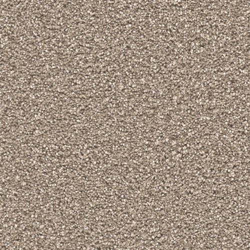 Stunning — Acorn