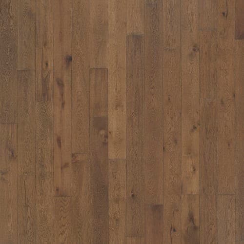 Latitude Collection® - Latitude Collection — Trail