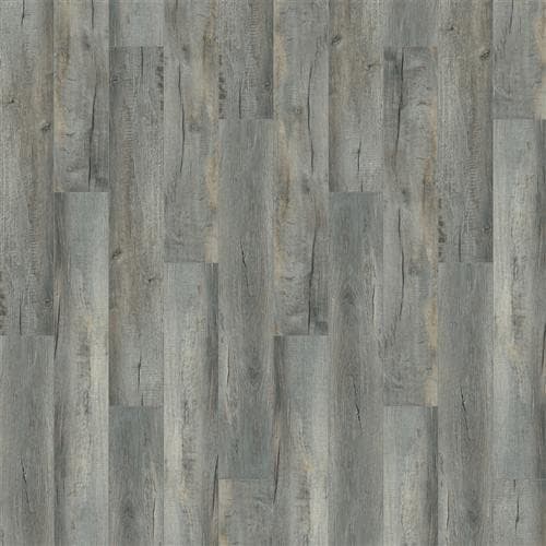 Courtier — Admiral Oak