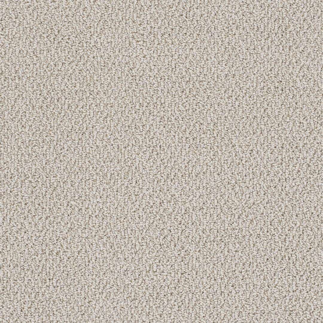 Palazzo — Bay Dream