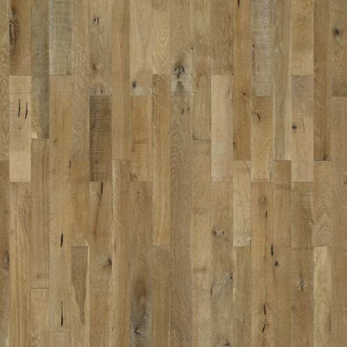 Organic Solid Collection — Fennel Oak