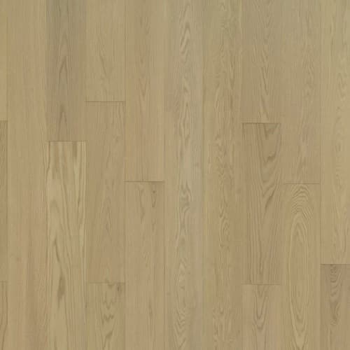 Serenity — Aglow Oak