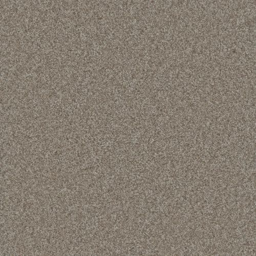 Gold Standard I — Alloy