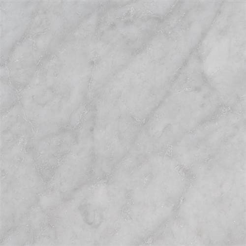 Carrara White — Carrara White - 12x12