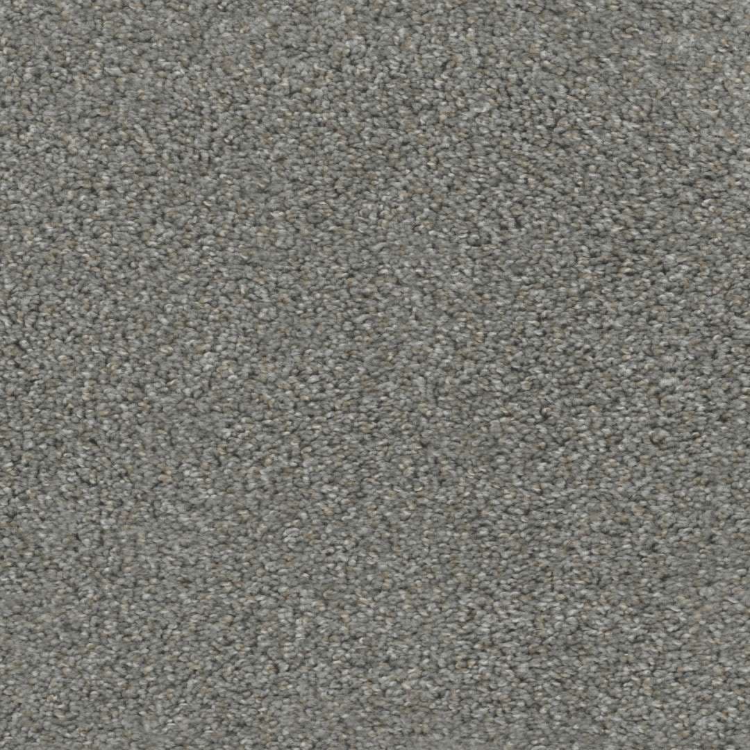 Regal Touch — Grey Umbra