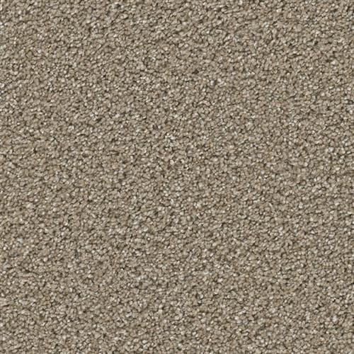 Cosmopolitan II — Acorn