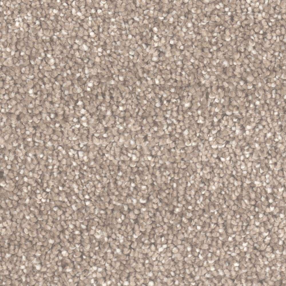 All Star — Acorn