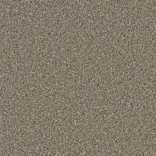 Dazzling — Acorn