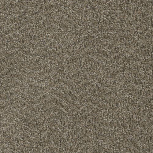 Color Solutions — Bear Claw