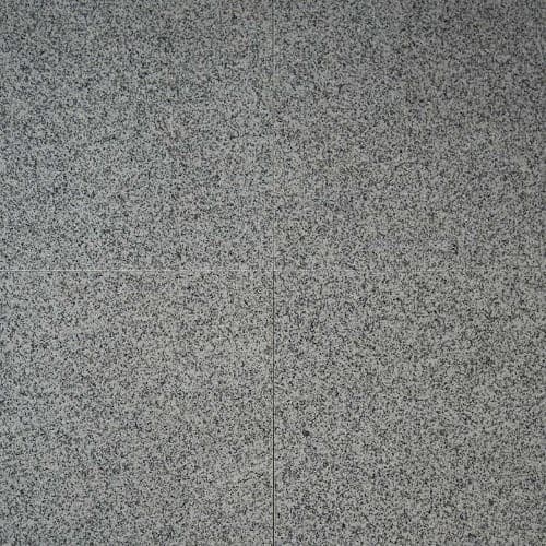 Bianco Catalina — Bianco Catalina - 12x12