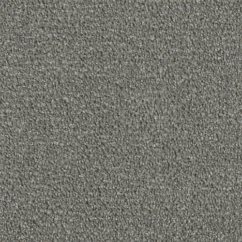 Real Solutions — Grey Umbra