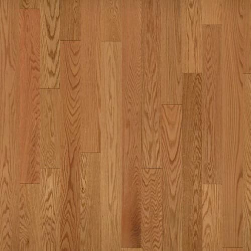 American Traditional Classics — Auburn Red Oak 3.25"