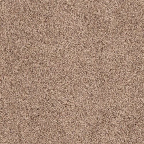 Husky — Bark