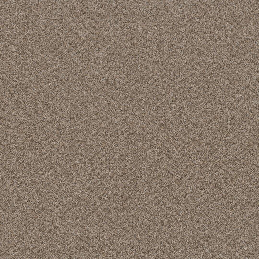 Broadcast — Almond