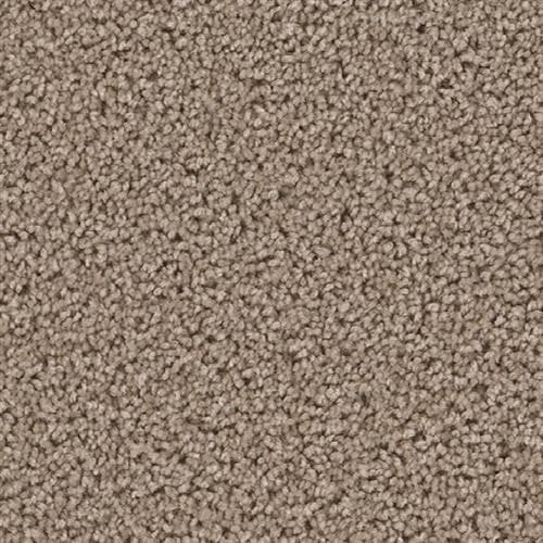 Top Star — Ash