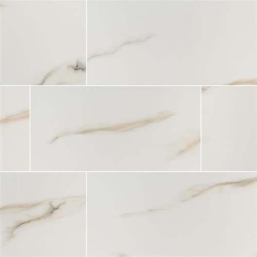 Aria — Bianco - 24x48